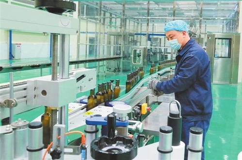 精準謀劃 縣域招商奏強音